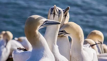 AIYOUXI-世俱杯精彩瞬间：五大联赛冠军的终极对决，世俱杯冠军有哪些球队