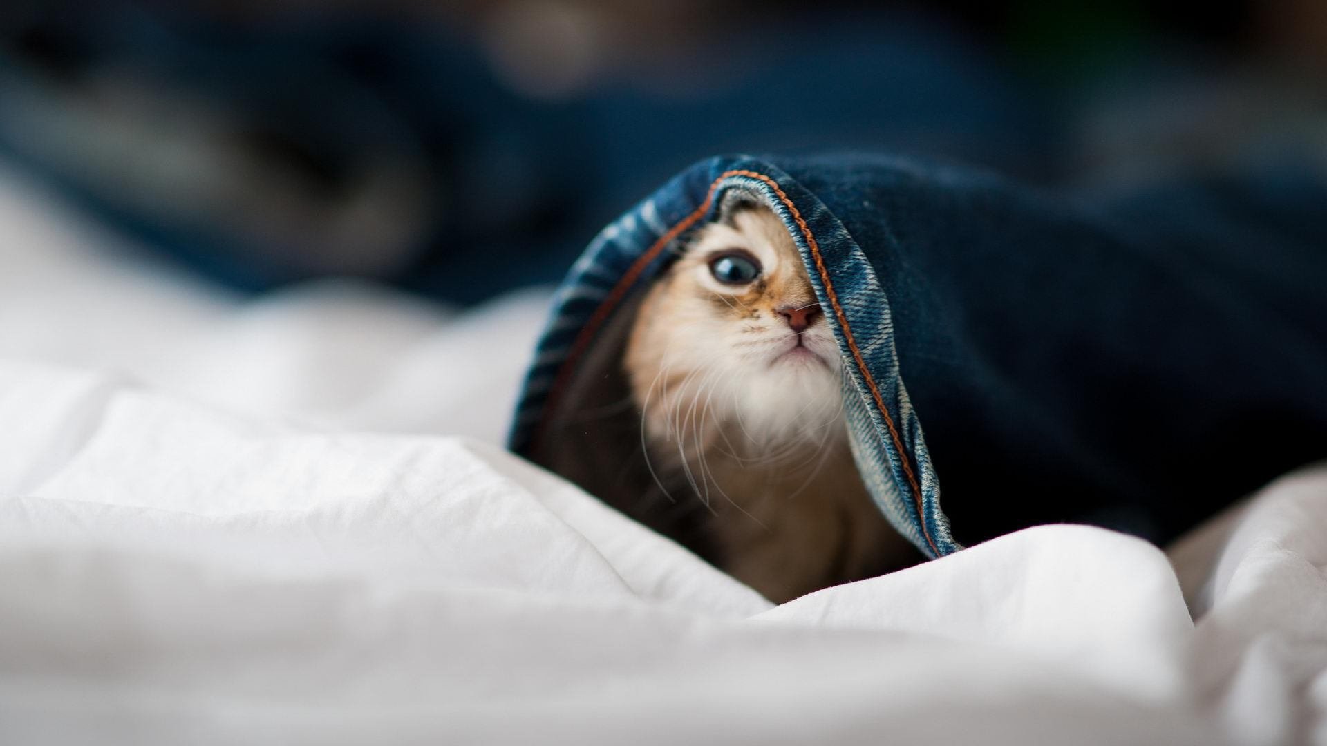 梅西重回诺坎普？巴萨官方回应转会传闻，梅西21年巴萨告别