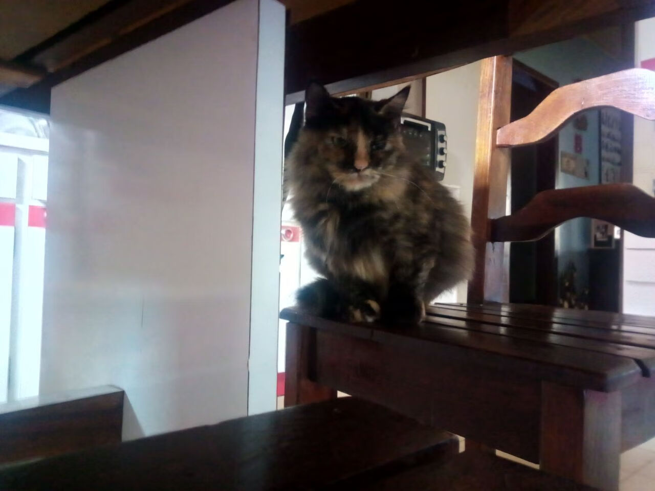 世界联赛赛场华彩绽放，惊险瞬间点燃激情，世界比赛视频