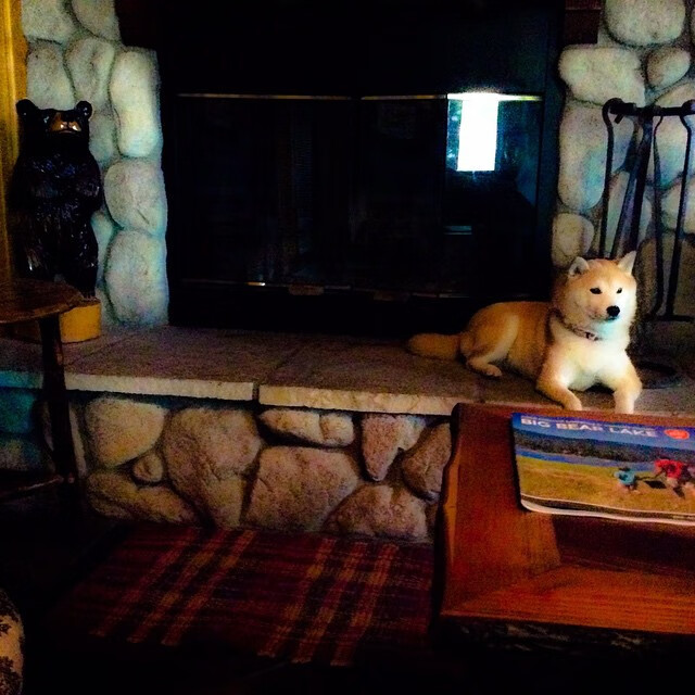 爱游戏服务-冬季转会窗口是否应缩短交易期，冬季转会窗口时间