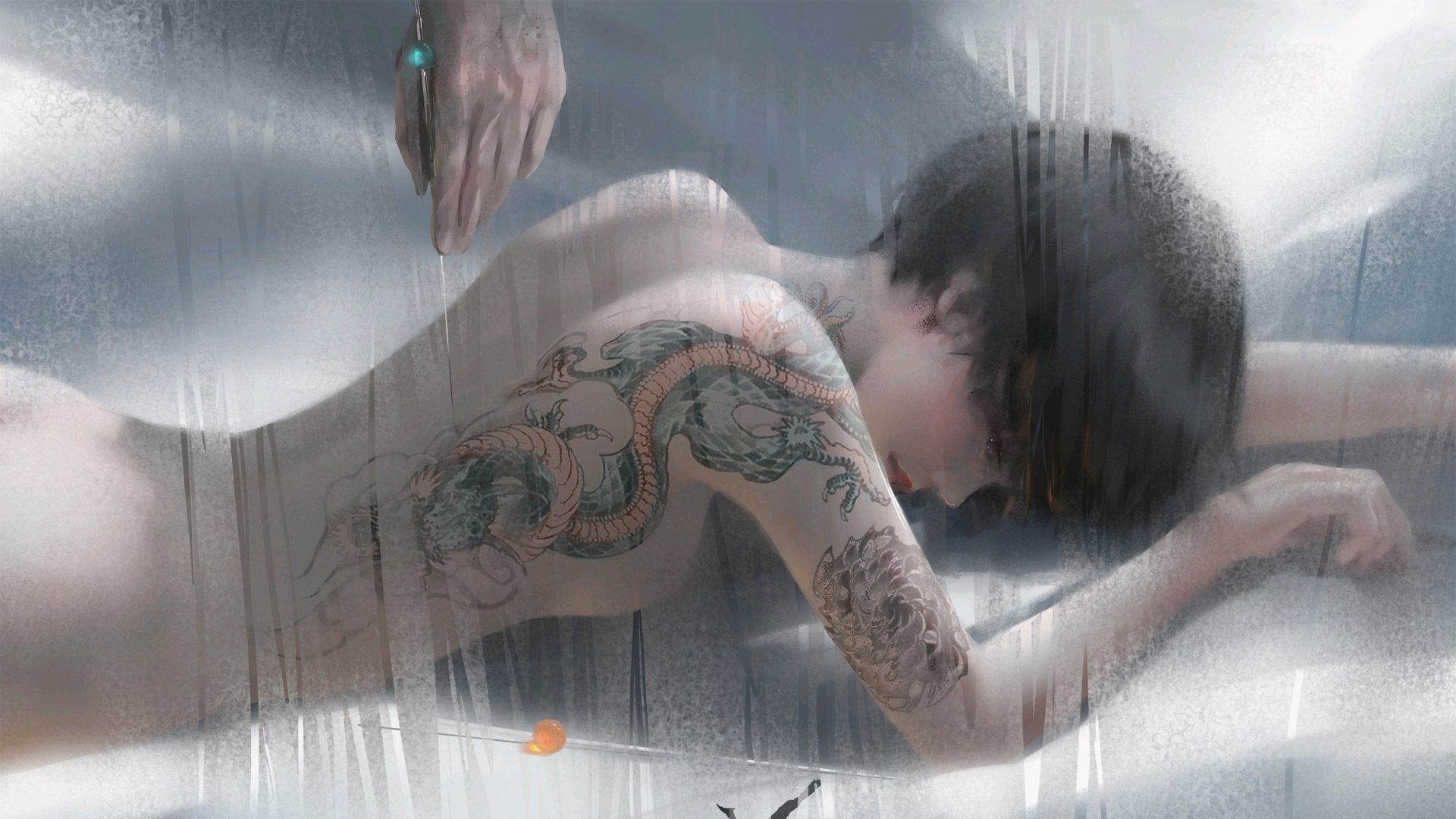 同曦队年轻球员成长迅速,同曦队主场