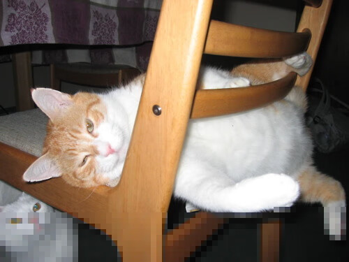 ayx-墨西哥队球员表现抢眼，多次进球，墨西哥队球星