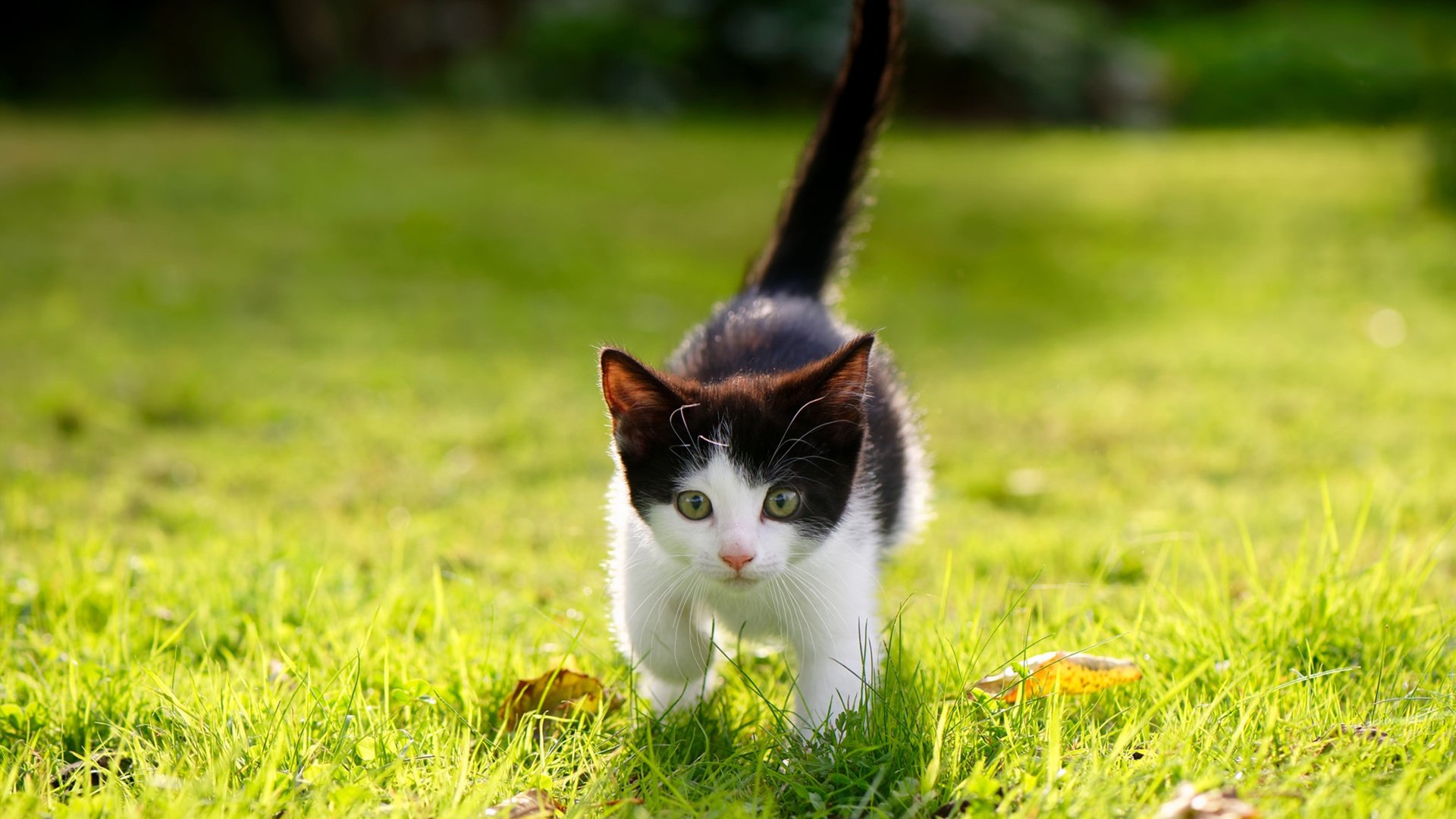 天津男篮客场爆冷获胜，实现逆袭，天津队男篮