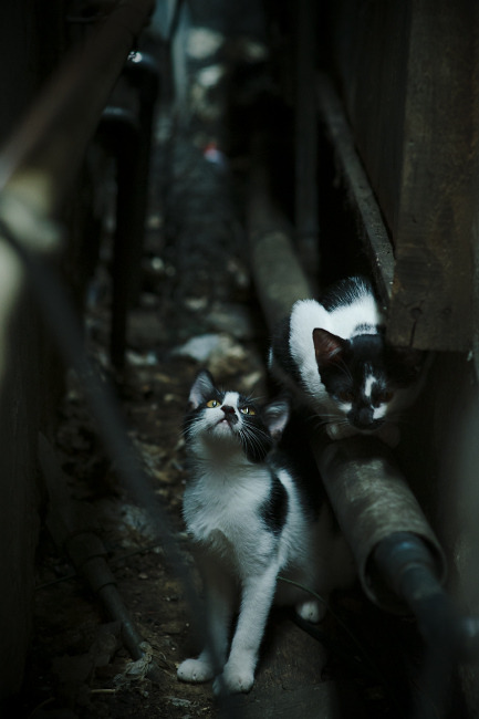 尤文图斯球员拉莫斯在比赛中表现出色,拉莫斯转会尤文