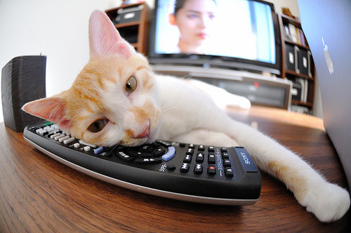 尼克斯压哨战胜公牛，全明星赛前哨战中布伦森末节爆发，纽约尼克斯与布鲁克林篮网