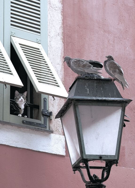 拜仁慕尼黑客场击败对手，延续不败纪录，拜仁慕尼黑对战