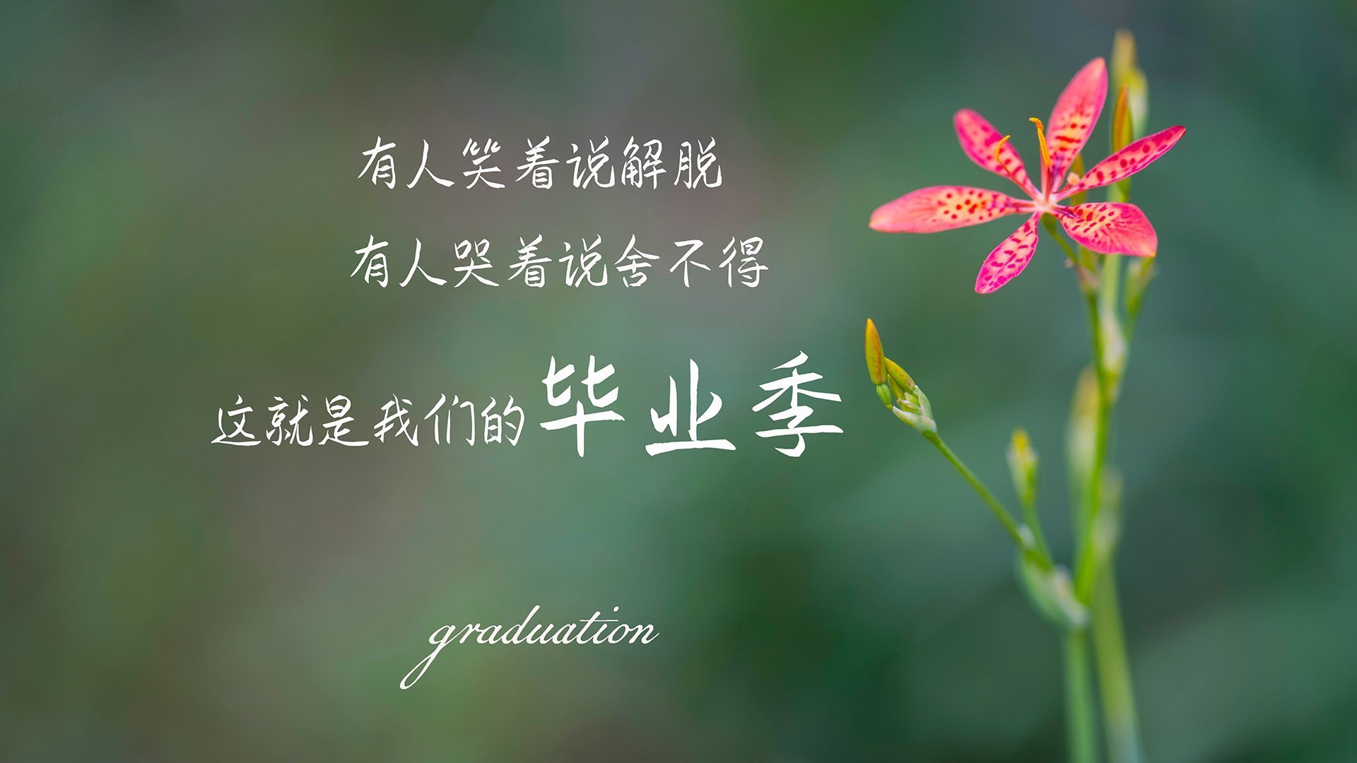 中国篮球青训体系发展现状分析，中国篮球青训体系发展现状分析报告