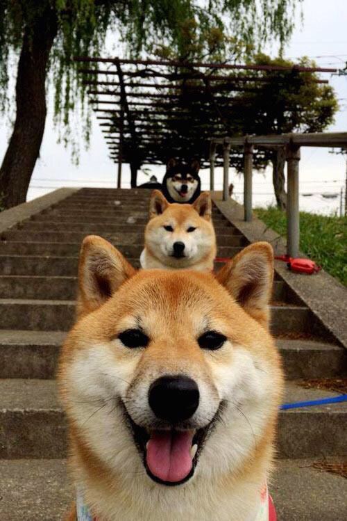 西甲裁判吹罚尺度演变对比赛节奏的微观影响研究，足球裁判吹罚