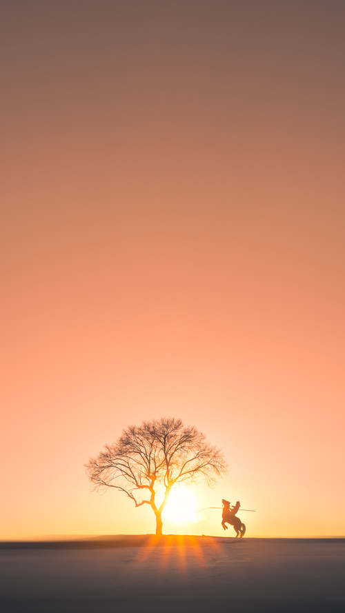 五大联赛高强度对抗是否提升比赛观赏体验,五大联赛水平最高的
