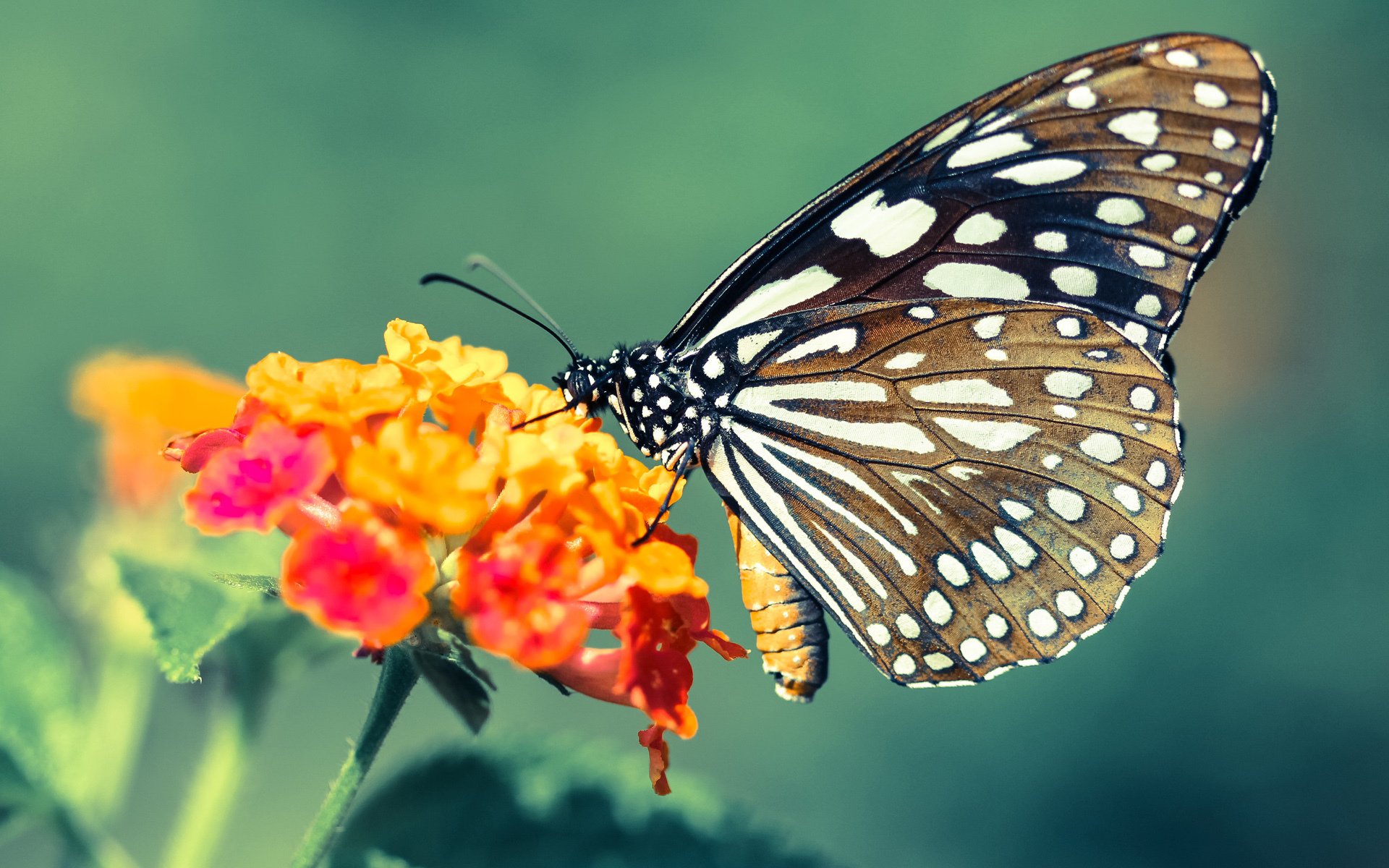 爱游戏在线-体育新闻中心构建多渠道体育赛事内容分发体系，体育赛事报道怎样写