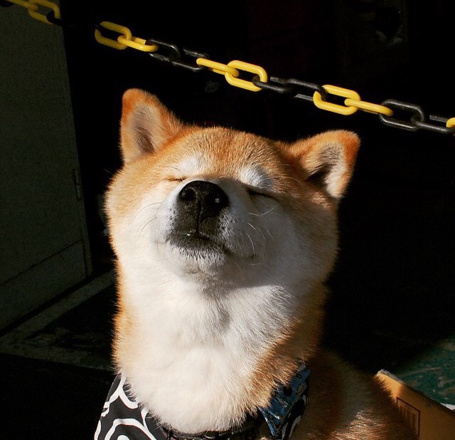 爱游戏中国-国家队体能与技术训练为何难以均衡，国家队 体能